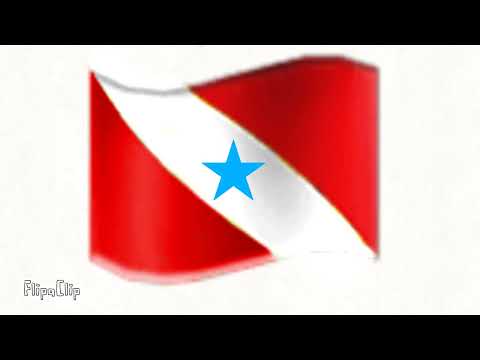 Bandeira do Pará versão emoji