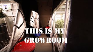 Growing in tents, grow room tour in new garage.
