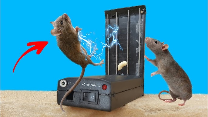Electric Rat TrapBest Mouse Trap Using Grillewater bottle Electric Mouse  Trap With Battery 12V - Vidéo Dailymotion