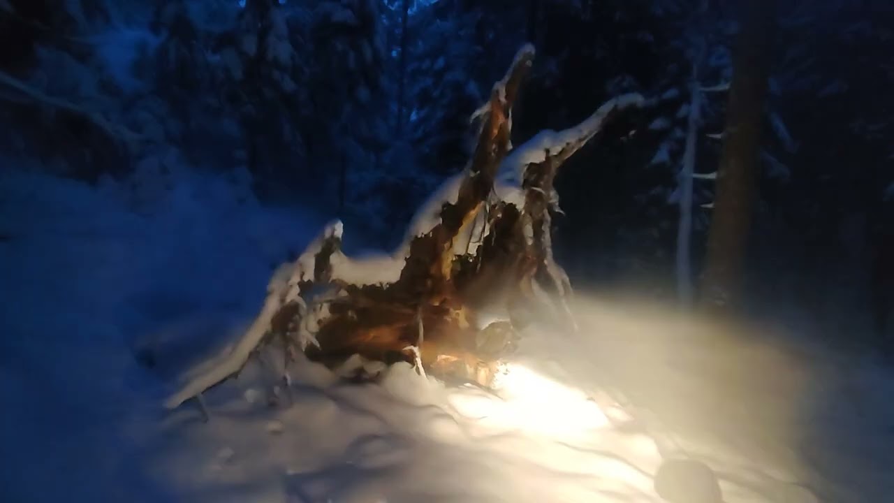 Adventure 11.01. 2025