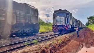 TREM CRUZANDO EM ORÂNDIA NOVA | MAQUINISTA DESCENDO DO TREM | ASSISTA E SURPREENDA.