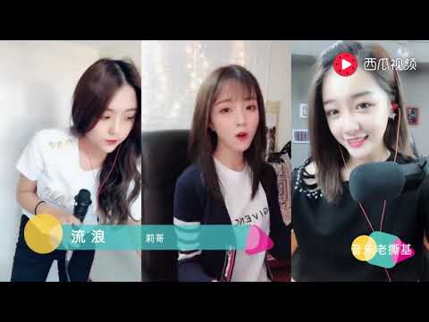 最近抖音火爆情歌《流浪》，莉哥M哥翻唱的版本，喜欢那个美女？