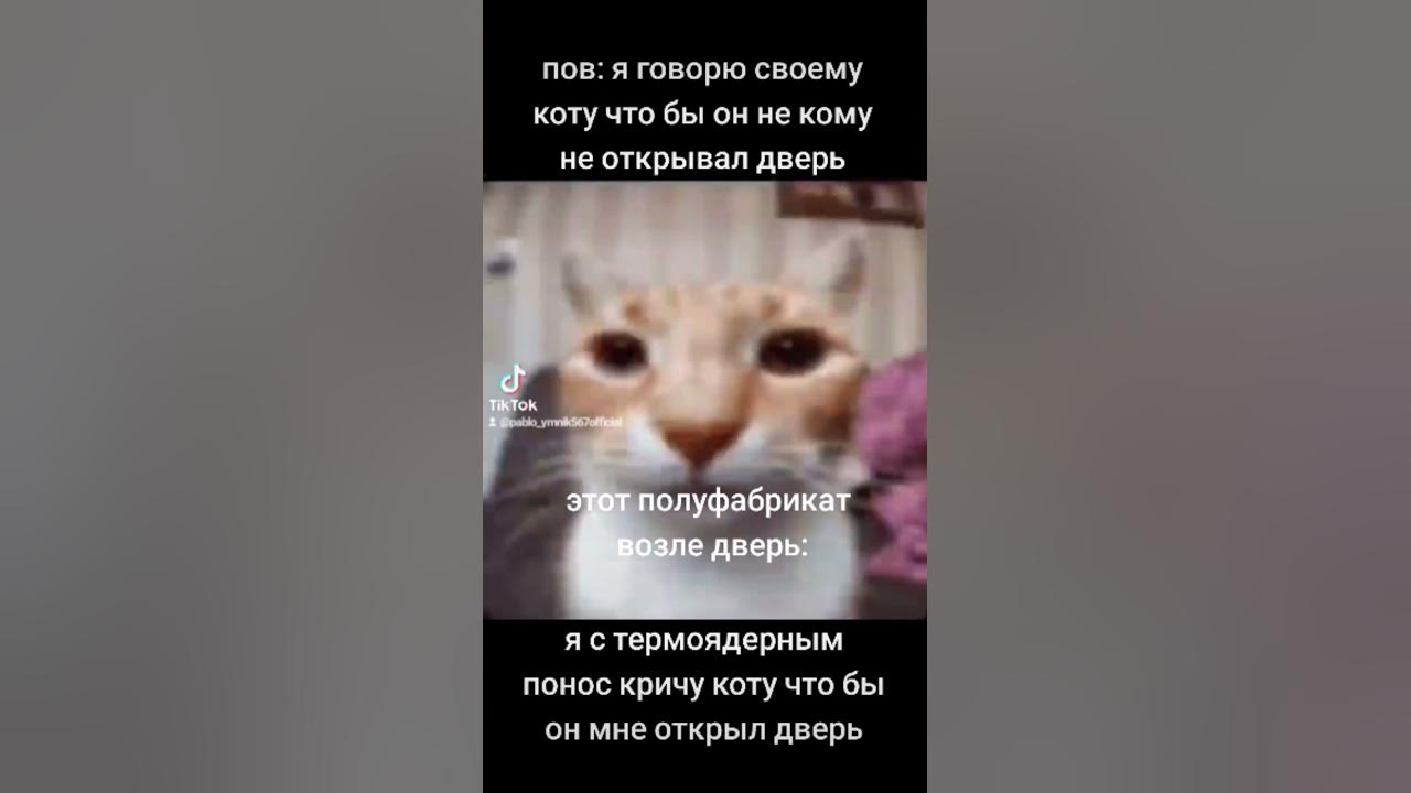 видео мрё с тт!!! #мем #мемы #кринж - YouTube