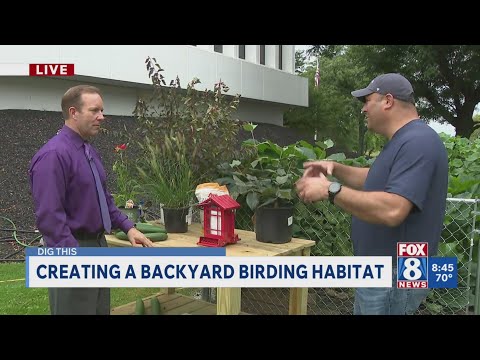 Dig This: Bird habitats