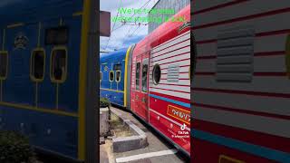 Omg What Did They Do To Wilson????