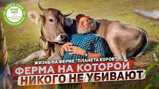 Жизнь экофермы ПЛАНЕТА КОРОВ | Планета коров на благо людей