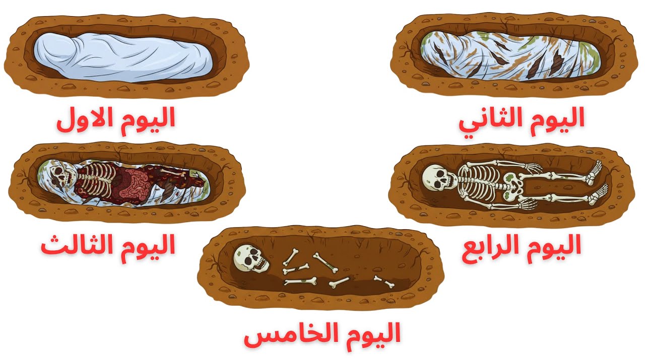 خمسة أيام في القبر ماذا يحدث لك بعد الموت؟