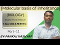 Part-11 differences transcription in prokaryotic and eukaryotic(class 12th&amp;NEET UG)English+Hindi