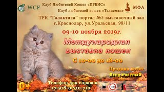 Зоомир Краснодар осень 2019