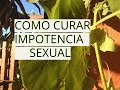 Impotencia sexual - Remedio Casero para la disfunción erectil masculina - libido