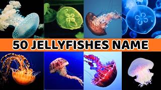 Exploring 50 Mysterious Jellyfish Species