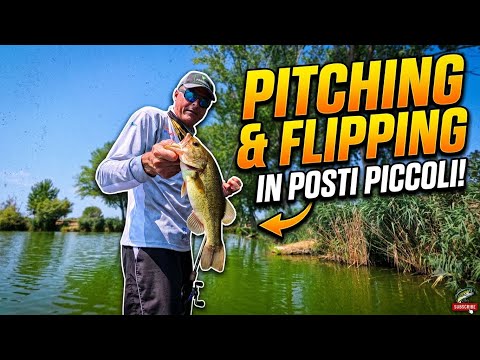 PITCHING AND FLIPPING in small lakes