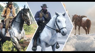 Red Dead Redemption 2'de En iyi ve En Hızlı At Nerede ? Beyaz Elite Albino Arap Atı