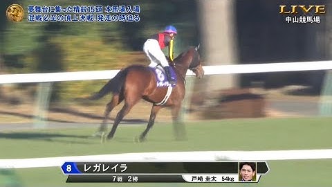2024年 有馬記念 (GI) 本馬場入場【レガレイラ】