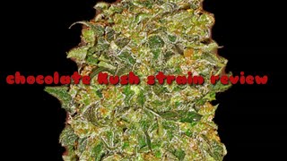 NEW CANNABIS STRAIN REVIEW UK (🍫Chocolate🍫 Kush)/BONG CLEANING HACK