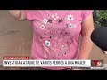 Investigan ataque de varios perros a una mujer