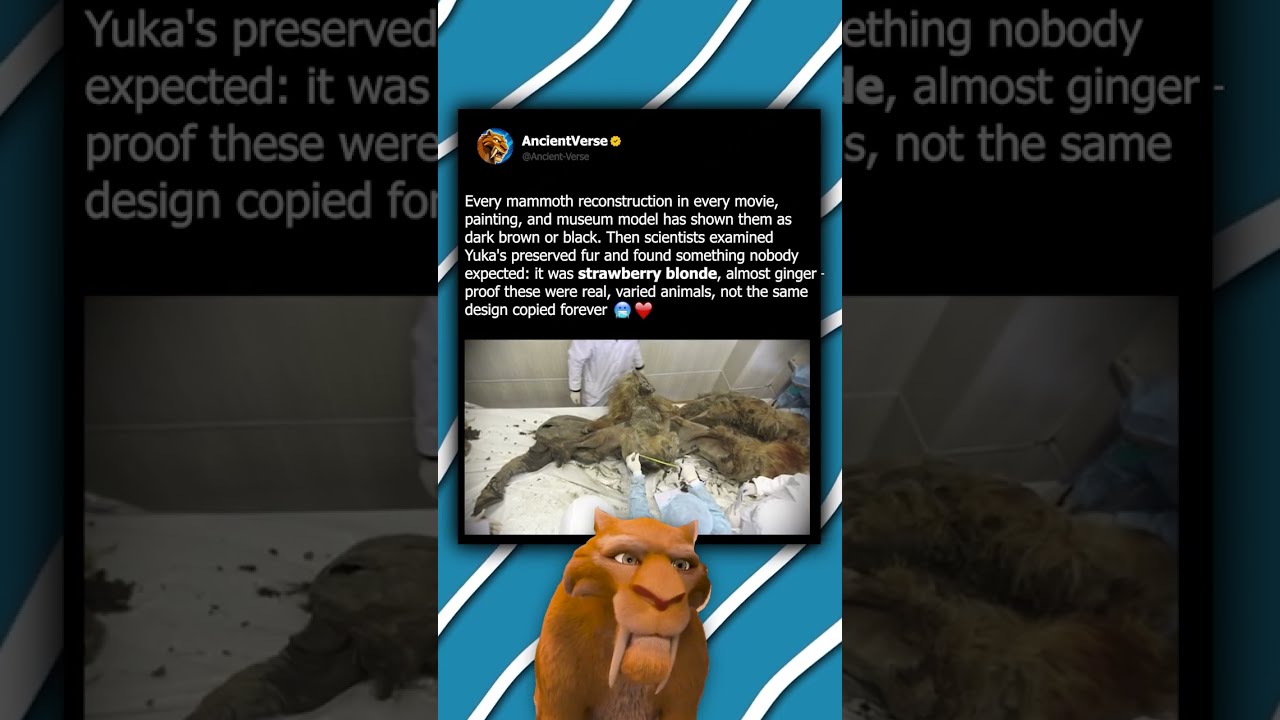 Mammoths Weren't Always Black or Brown