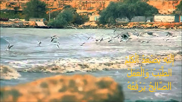 تلاوة مؤثرة وشجية لآيات من سورة فاطر للشيخ معاذ زغبي