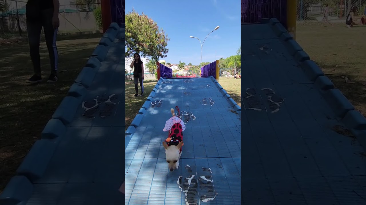 Bora brincar no parque