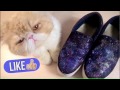 DIY Обувь просто космос )/ Galaxy Shoes✦✦✦Рола Ройс/Rola Roys