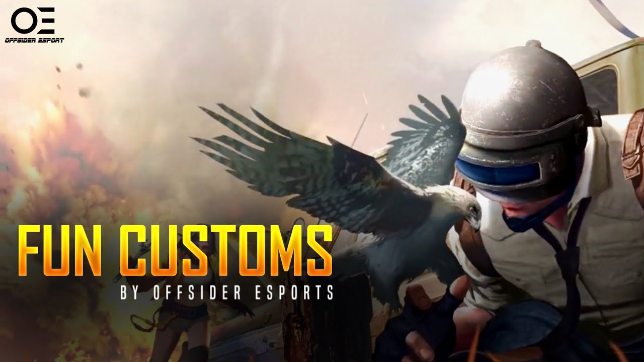 Fun Customs | OFFSIDER ESPORTS | LINK IN DESCRIPTION