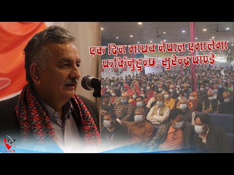 एक दिन माधव नेपाल एमालेमा फर्किनुहुन्छः सुरेन्द्र पाण्डे