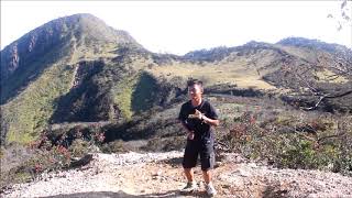 Wong Peyok Kuwi Bebas