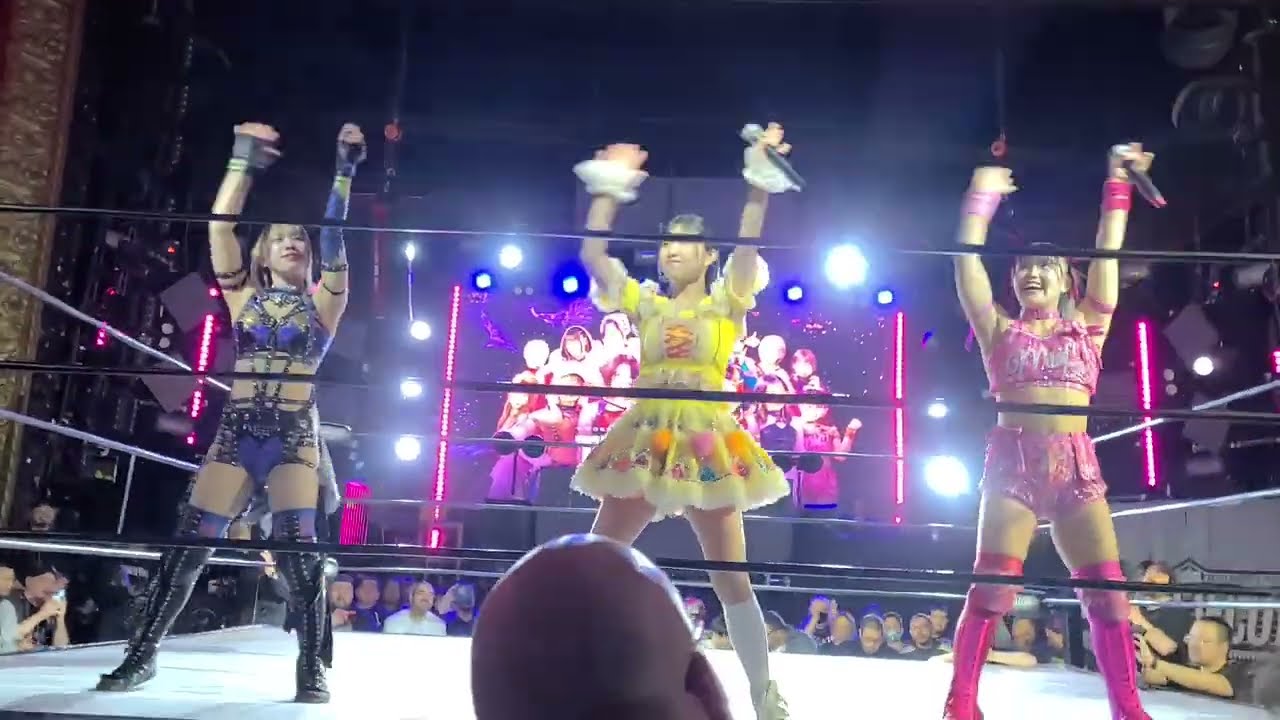 TJPW in Los Angeles - Up Up Girls (Upper Kick)