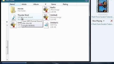 Flash From Scratch Tutorial 2 File Types.avi