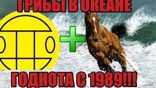 Обзор на фильм Обзор на фильм