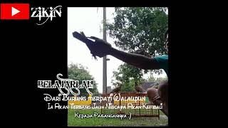 STORY WA TAHUN 2022|| MERPATI BALAP& MERPATI KOLONG || merpati balap Purwodadi Grobogan jaya