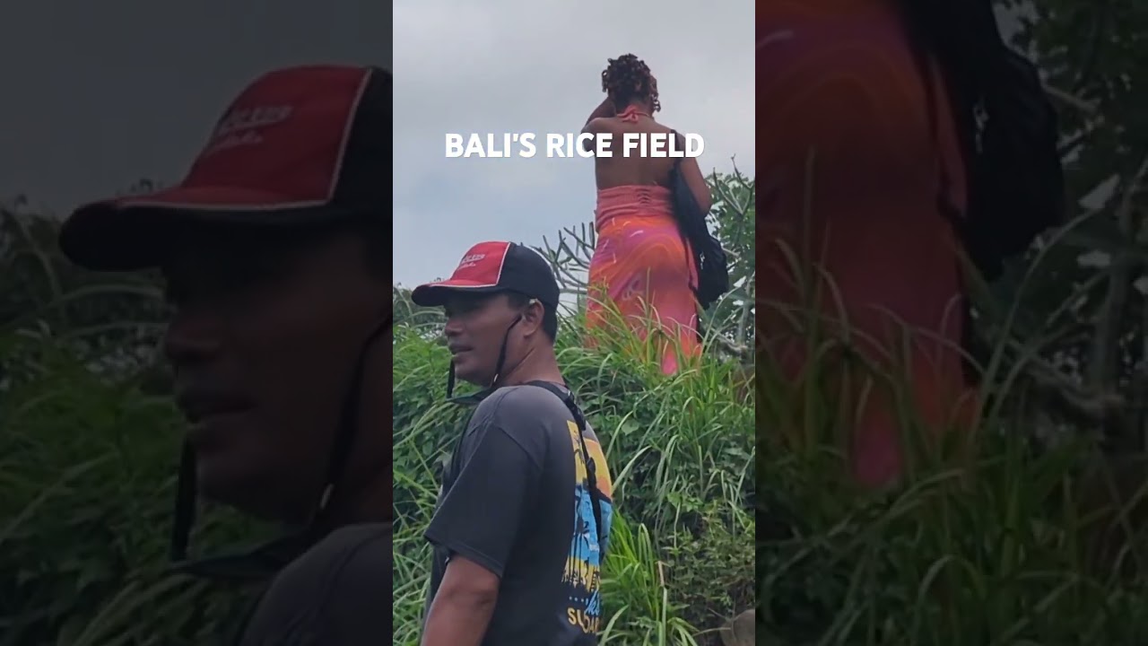 BALI's Rice Field - Ziplining 
