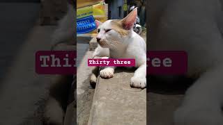I STILL DON'T UNDERSTAND THIS MATH 🤣 #funny #comedy #babicat #viralshort