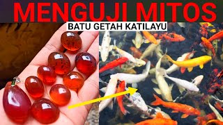 Download Lagu MENGUJI \ MP3