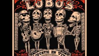 Video thumbnail of "Los Lobos - Canto A Veracruz"