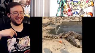 Gor's  UNUSUAL MEMES COMPILATION V180 by Unusual Videos  REACTION The Return!