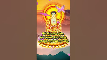 Nguồn gốc của mọi đau khổ là luyến ái.  #shorts  |Những Câu Nói Bất hủ