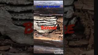 Log replacement