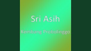 Kembang Probolinggo