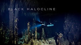 Black Halocline
