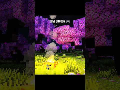 Just Sukoon..✨ #minecraft #kalyani #games