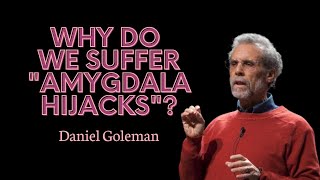 Daniel Goleman explains why we suffer 