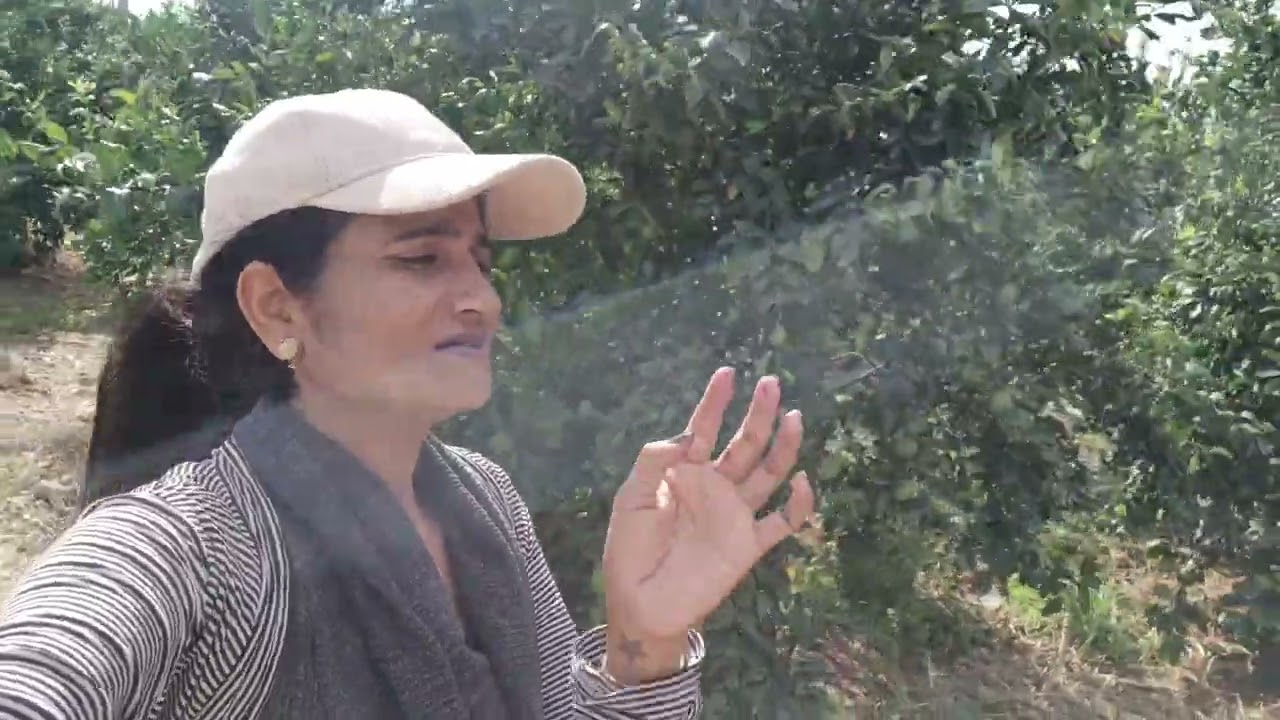 ઈઝરાયેલના લોકો  વાડીમા શું વાવેલ છે 🇮🇳🇮🇱