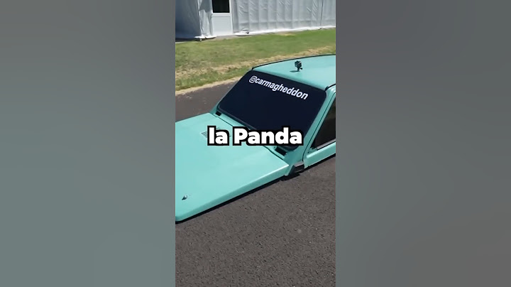 LA PANDA PIÙ BASSA DEL MONDO!! PAZZESCA!! 😳