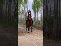 اولین تجربه اسب سواری من اسب Horse سوارکاری کورد دختر اولین تجربه اسب سواری من اسب Horse سوارکاری کورد دختر