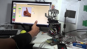 Control of a Robot Hand using Surface EMG Signals