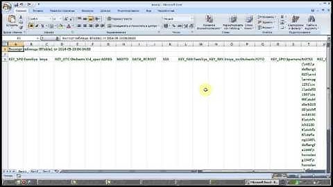 Delphi Excel