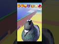 Birds' Insane Escape From Tsunami 🐦‍⬛ #shorts #viral #brainrot