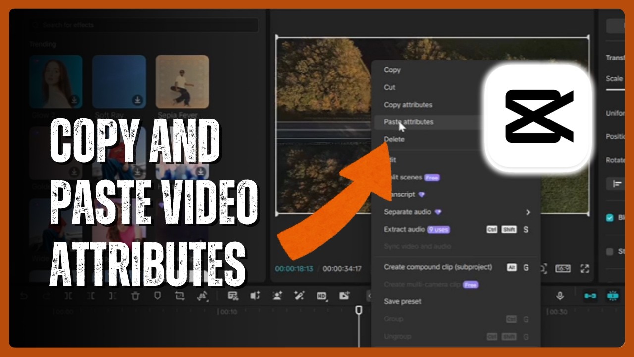 How to Copy and Paste Editing Attributes to Other Videos in CapCut PC ...