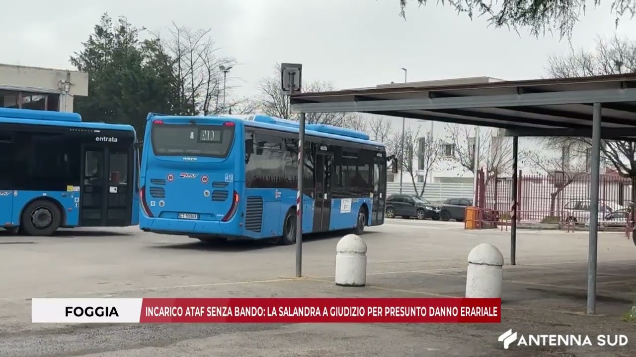 28 FEBBRAIO 2026 - FOGGIA, INCARICO ATAF SENZA BANDO: LA SALANDRA A GIUDIZIO